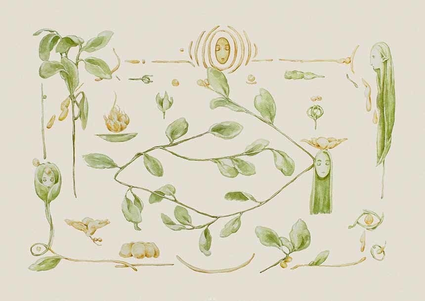 ナディール・ノール / セガン