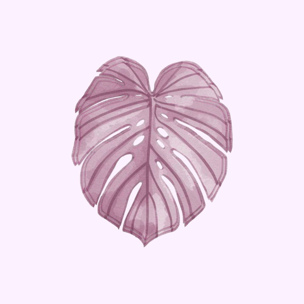 PlumColour ICON PACK