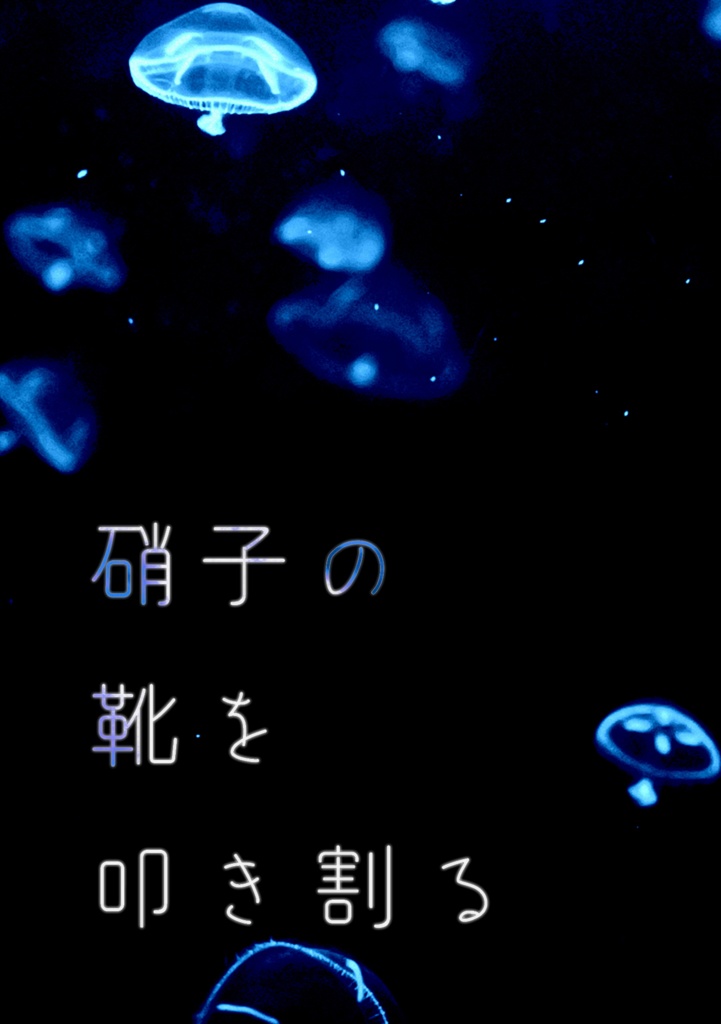 硝子の靴を叩き割る 夜底書房 Booth 硝子の靴を叩き割る 夜底書房 Booth