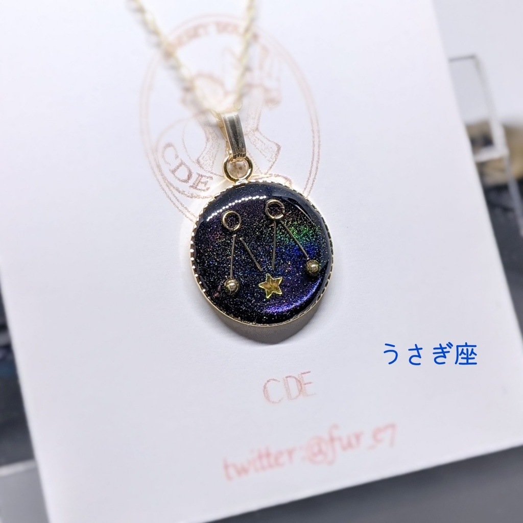 12星座のネックレス