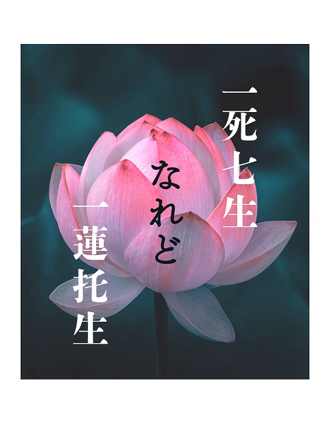 一死七生なれど一連托生