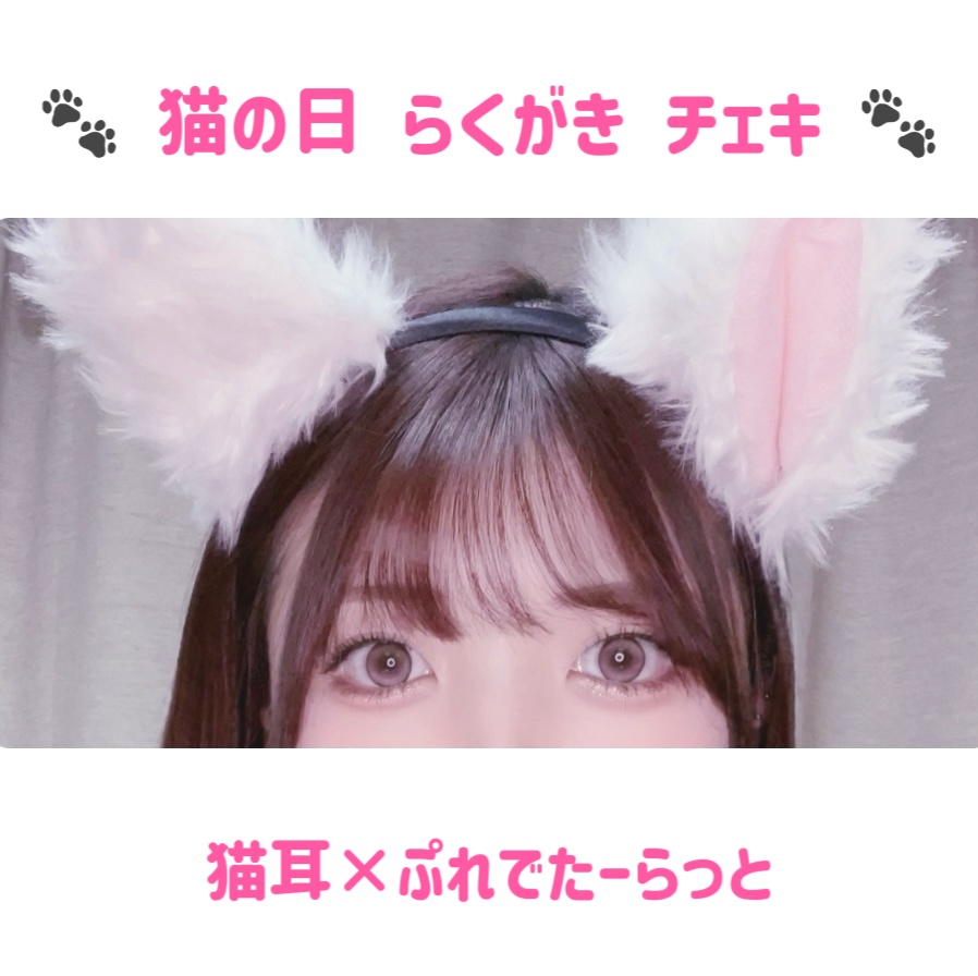 猫の日らくがきチェキ