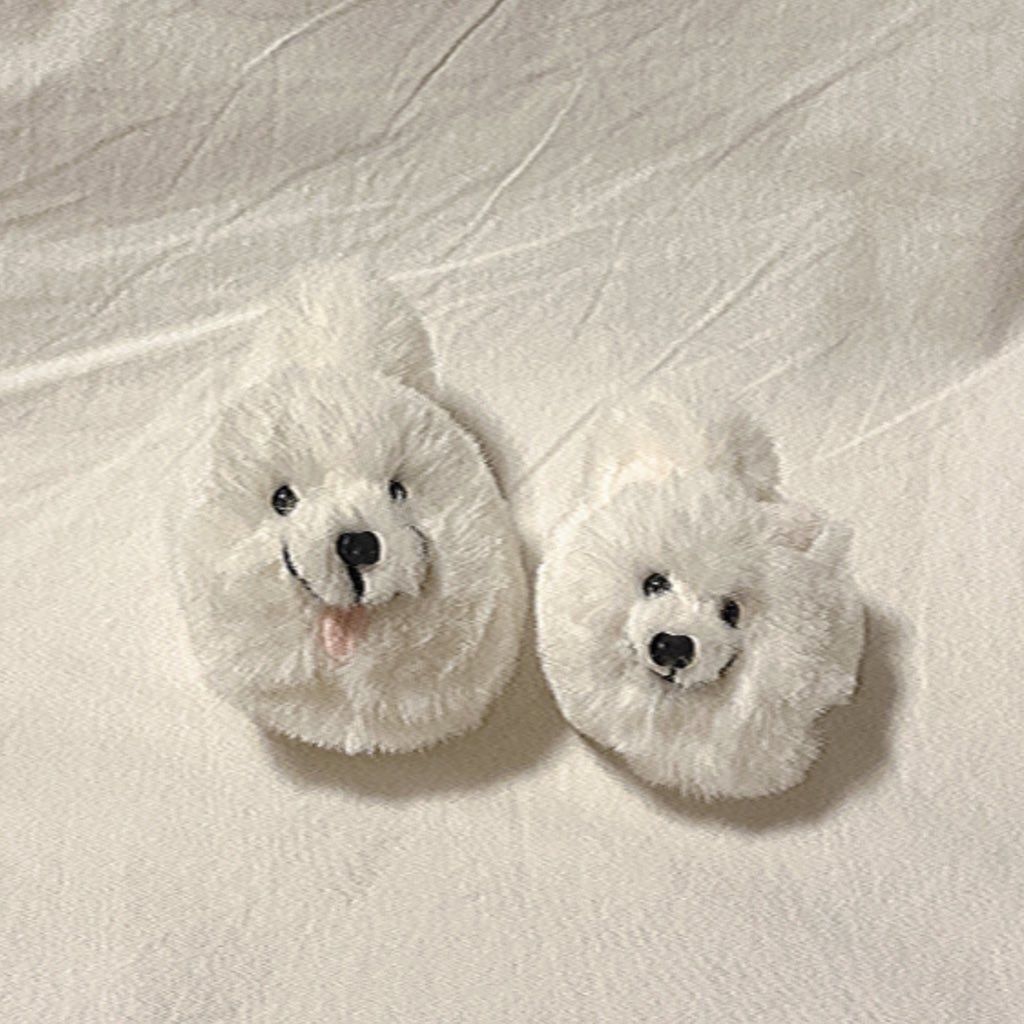 概念(ﾗﾆｱﾝ)