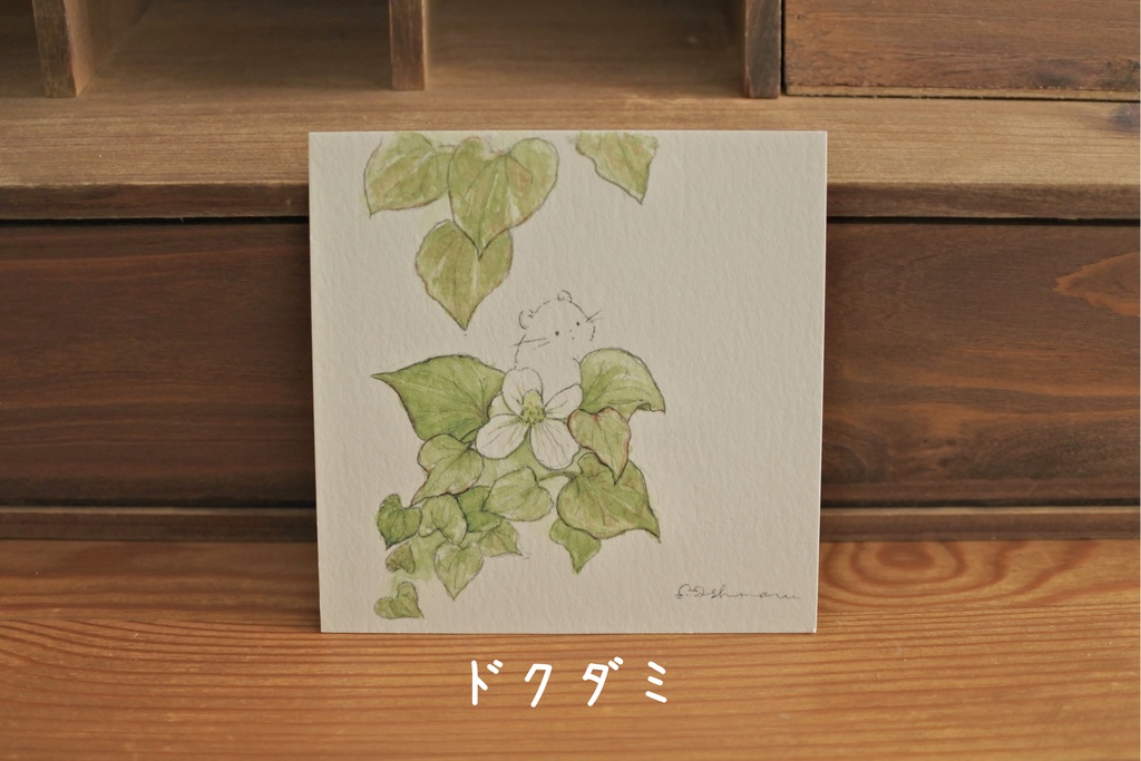 ポストカード 正方形