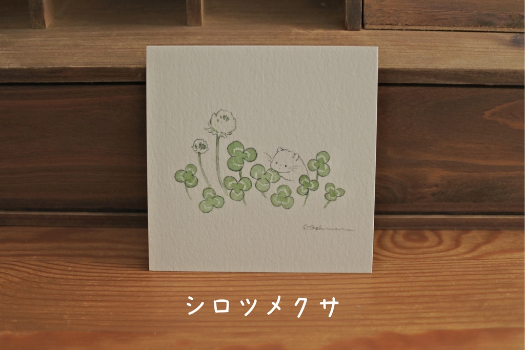 ポストカード 正方形