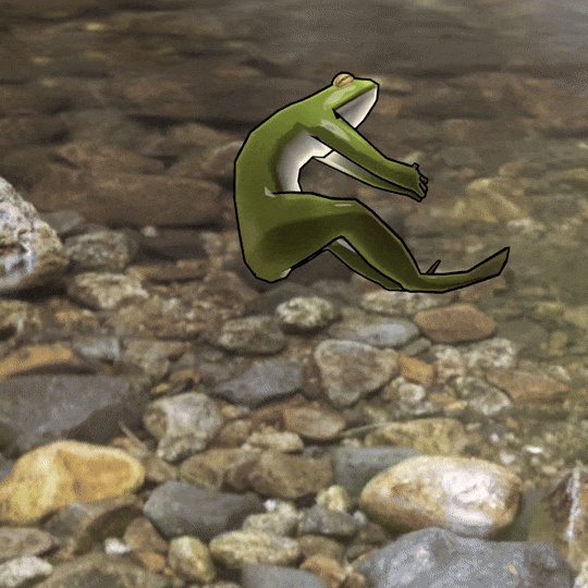 Floppy Frog Throwable