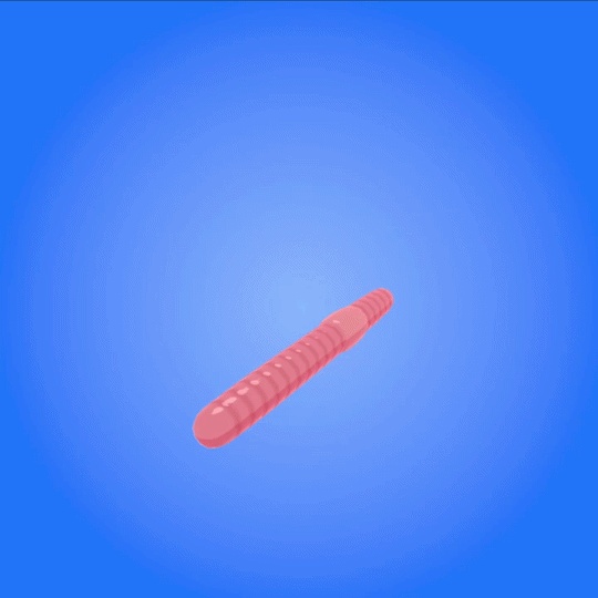 Floppy Worm Throwable