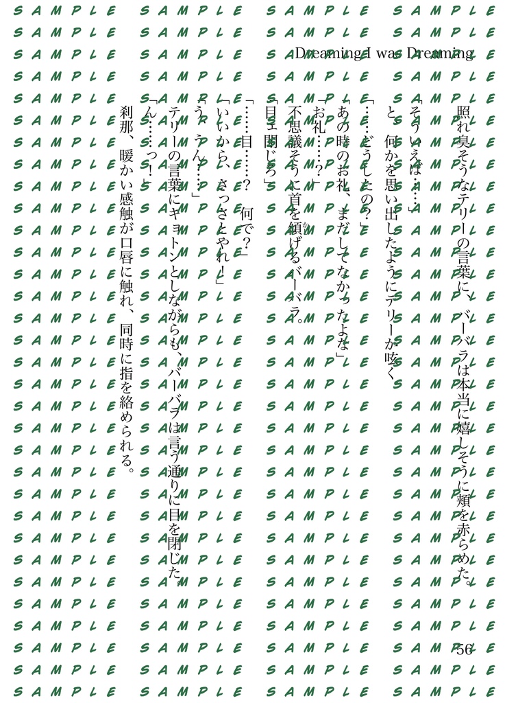 【DQ6】テリー×バーバラ 小説『星に願いを -wishing on the same star- 』