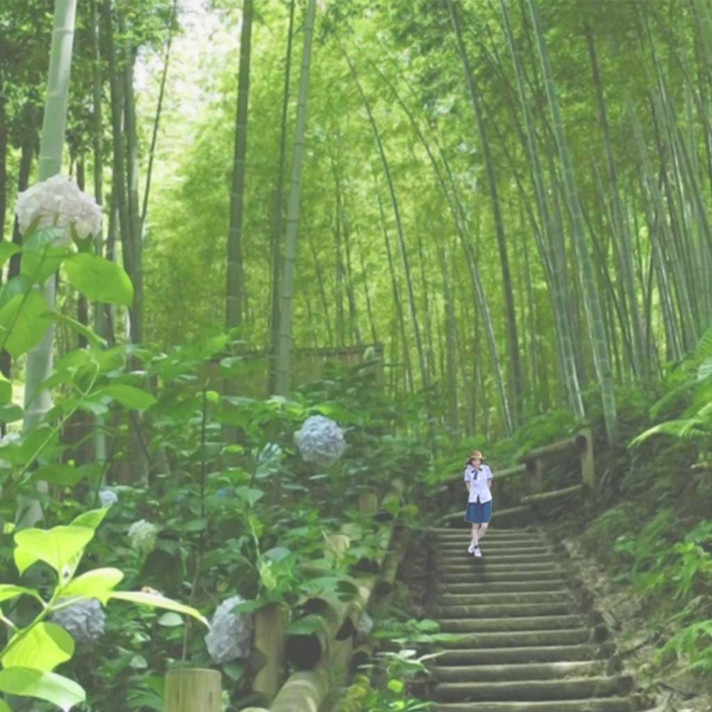 -時の住処-  アンビエント・エレクトロニカ集