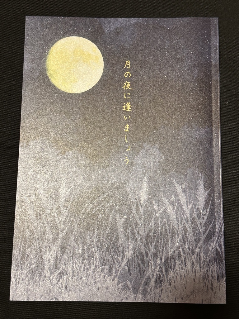 『月の夜に逢いましょう』