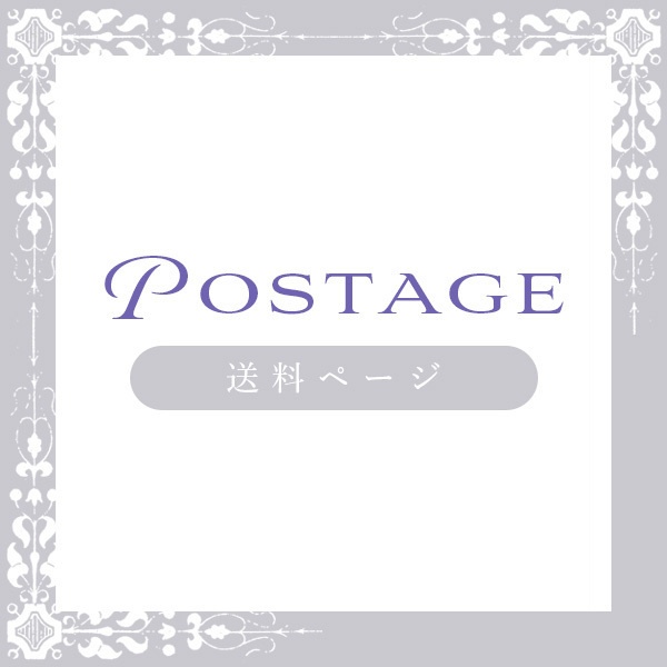 追加送料 - EMS発送