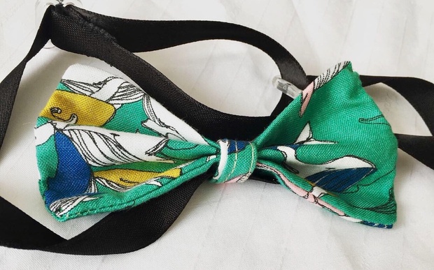 蝶ネクタイ：春の新作