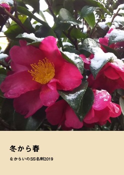 なからいのss名刺2019 「冬から春」