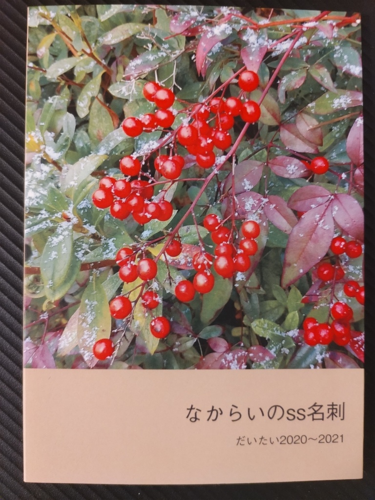 なからいのss名刺　だいたい2020～2023　3冊パック