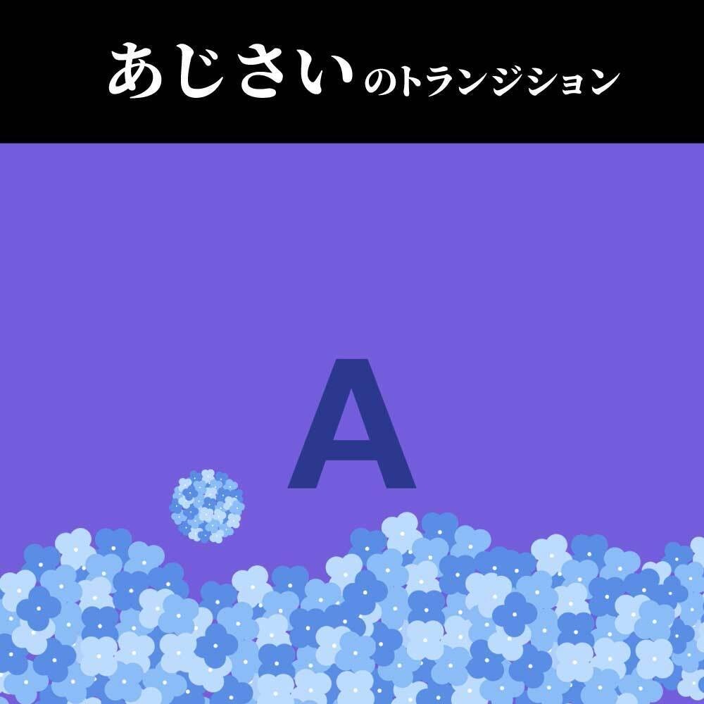 【トランジション素材】あじさい