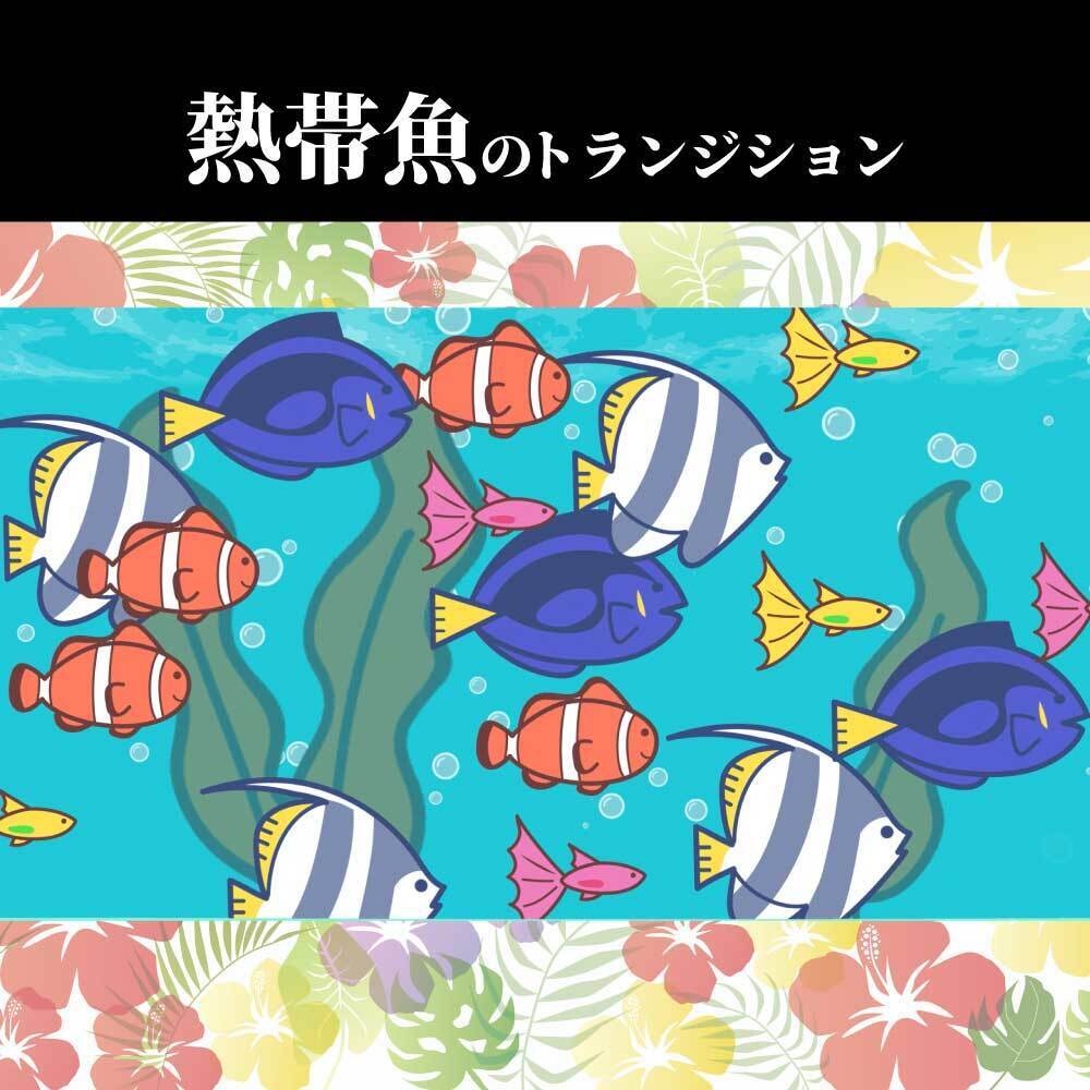 【動画素材】熱帯魚のトランジション