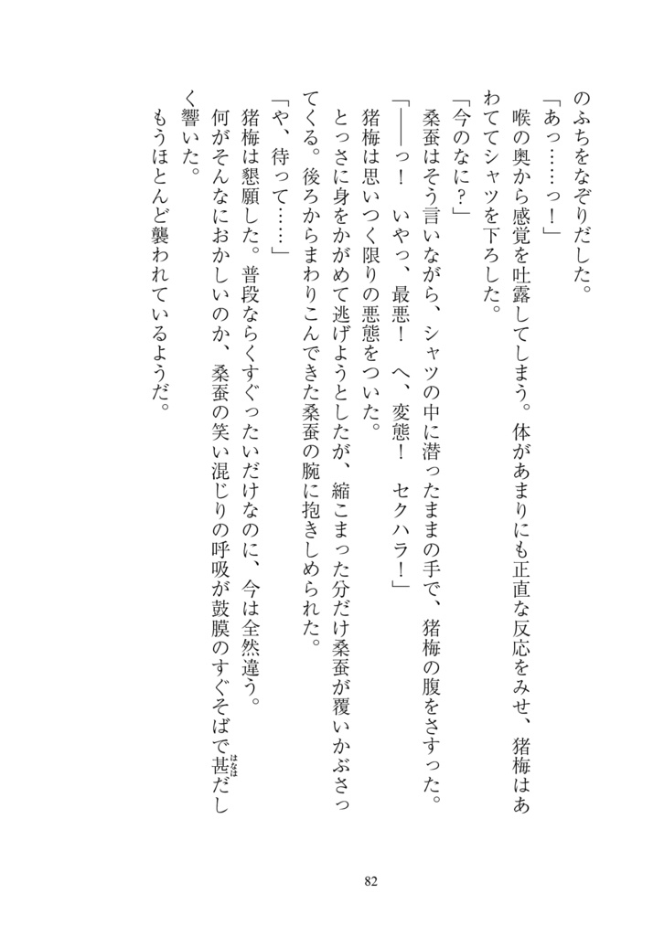 文庫小説 『純』