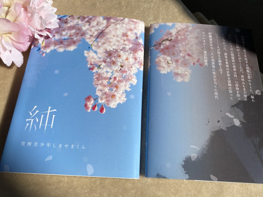 文庫小説 『純』