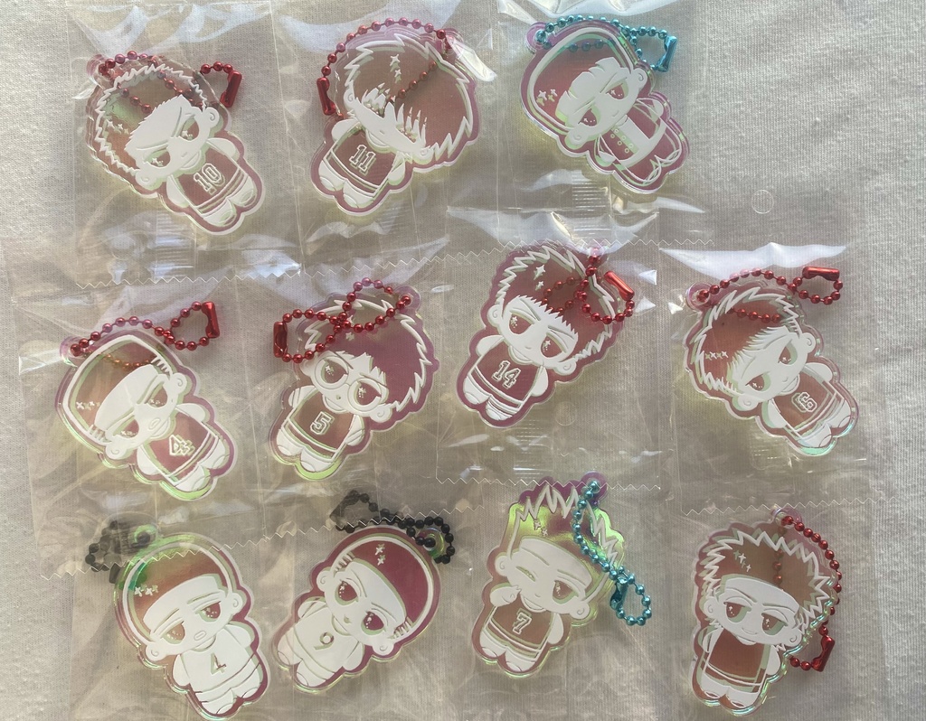 ✨️オーロラアクキー✨️