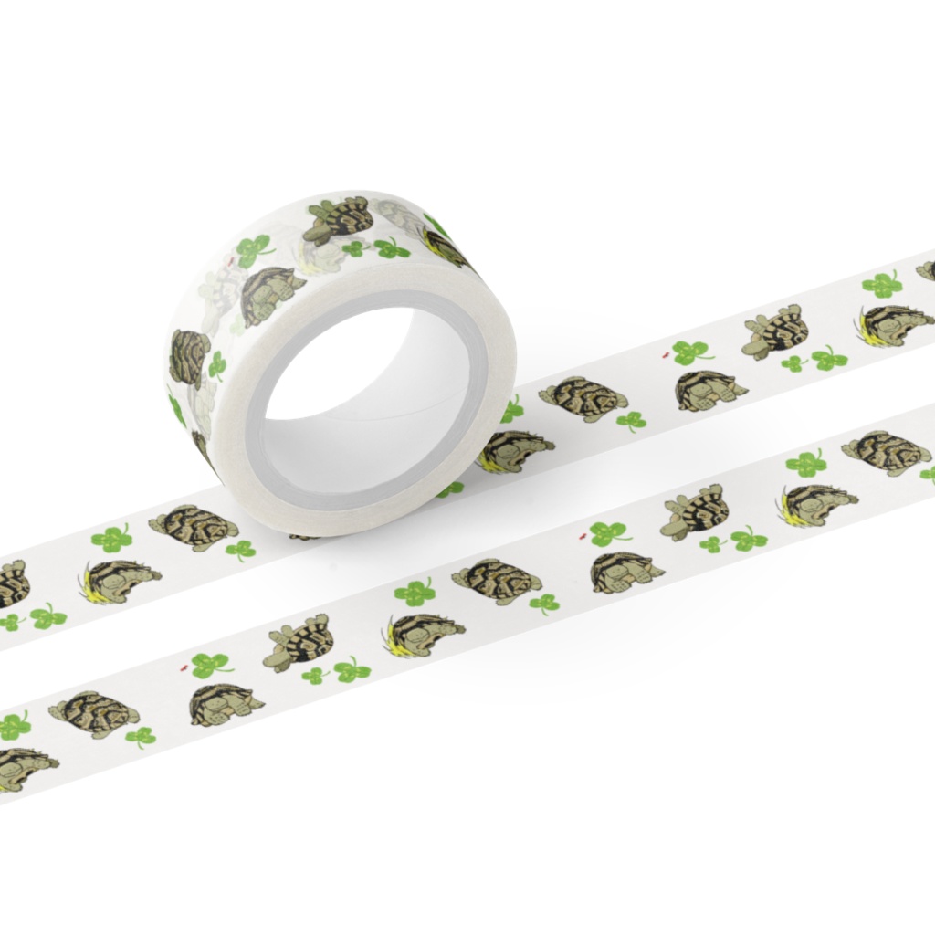 I am Tortoise マスキングテープ タックル編