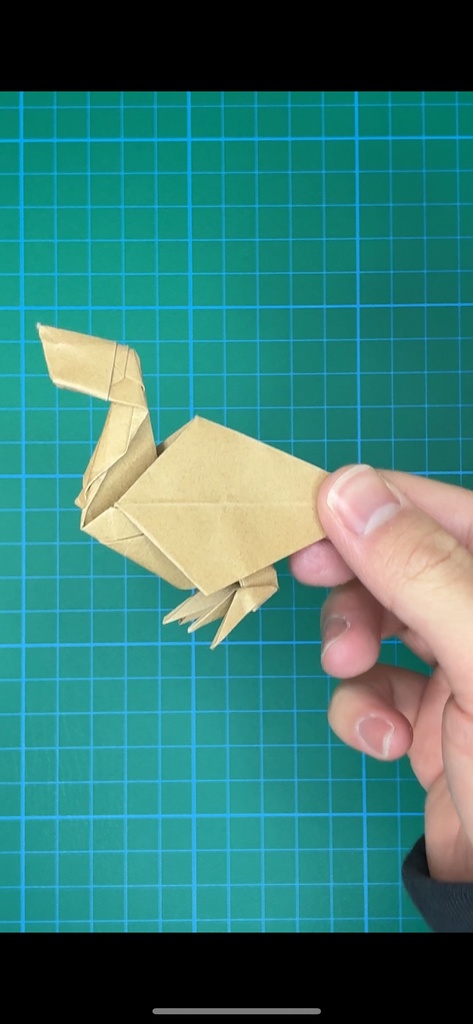 カルガモ　展開図