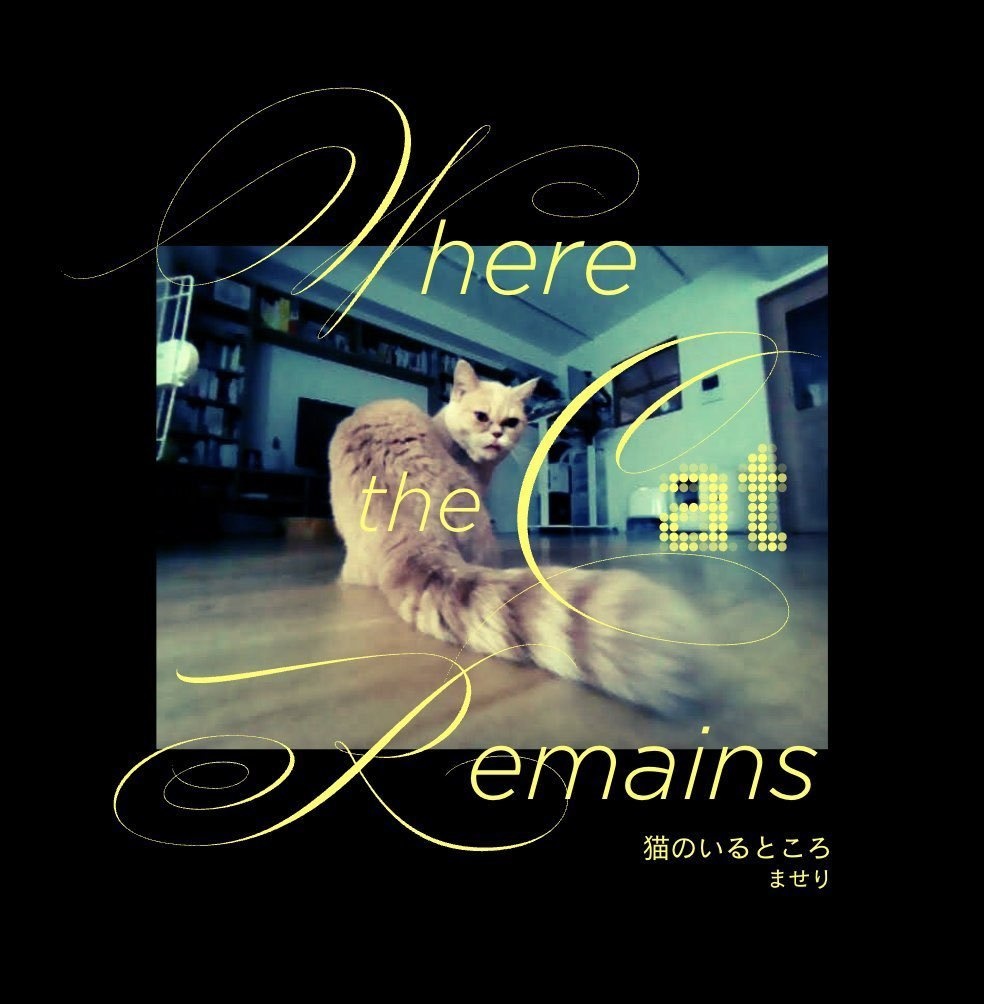 猫のいるところ