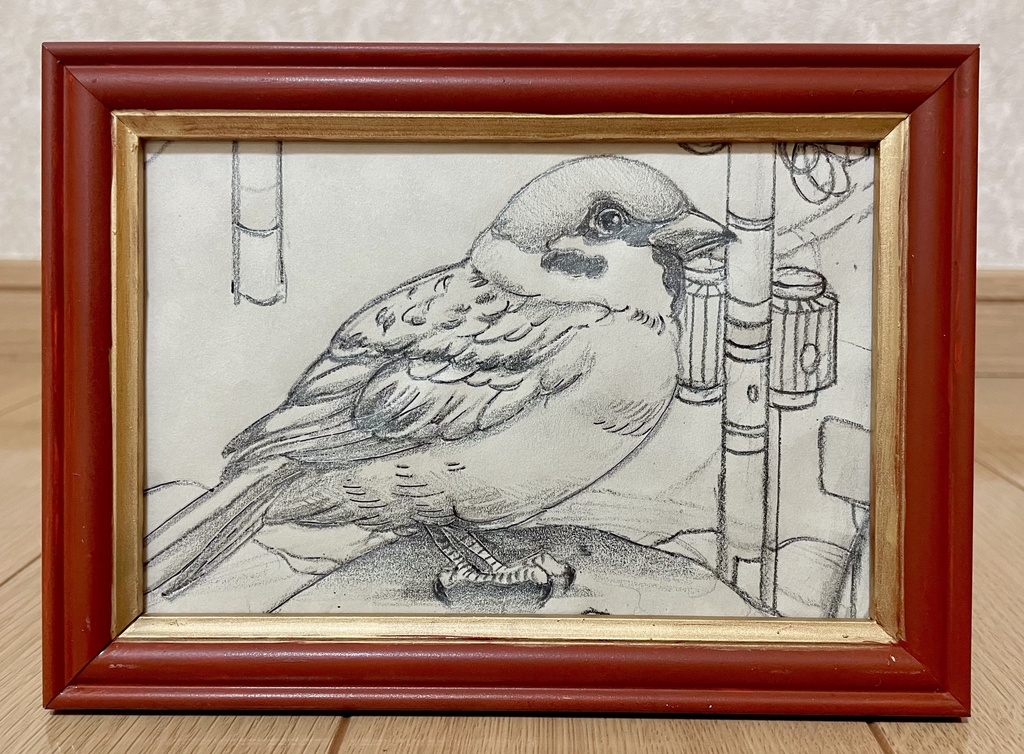 鉛筆画　もっちりすずめ1 