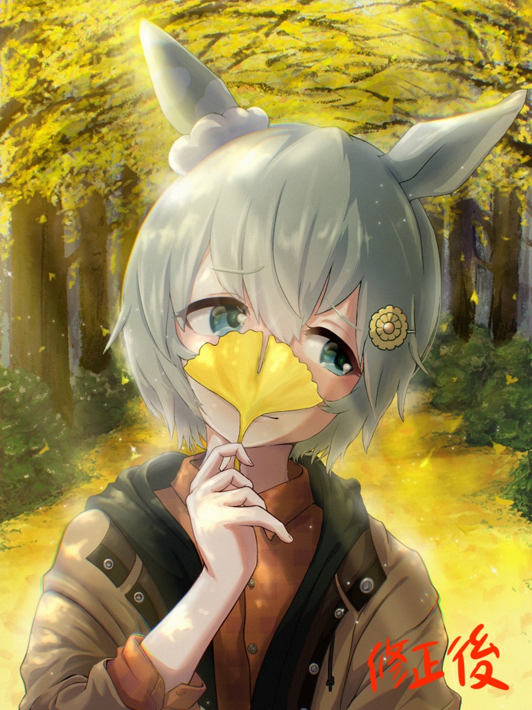 イラスト集・雲のゆくまま