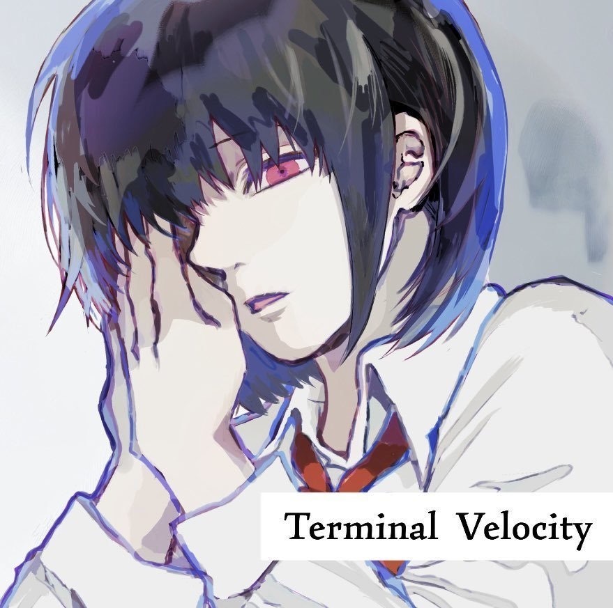Terminal Velocity