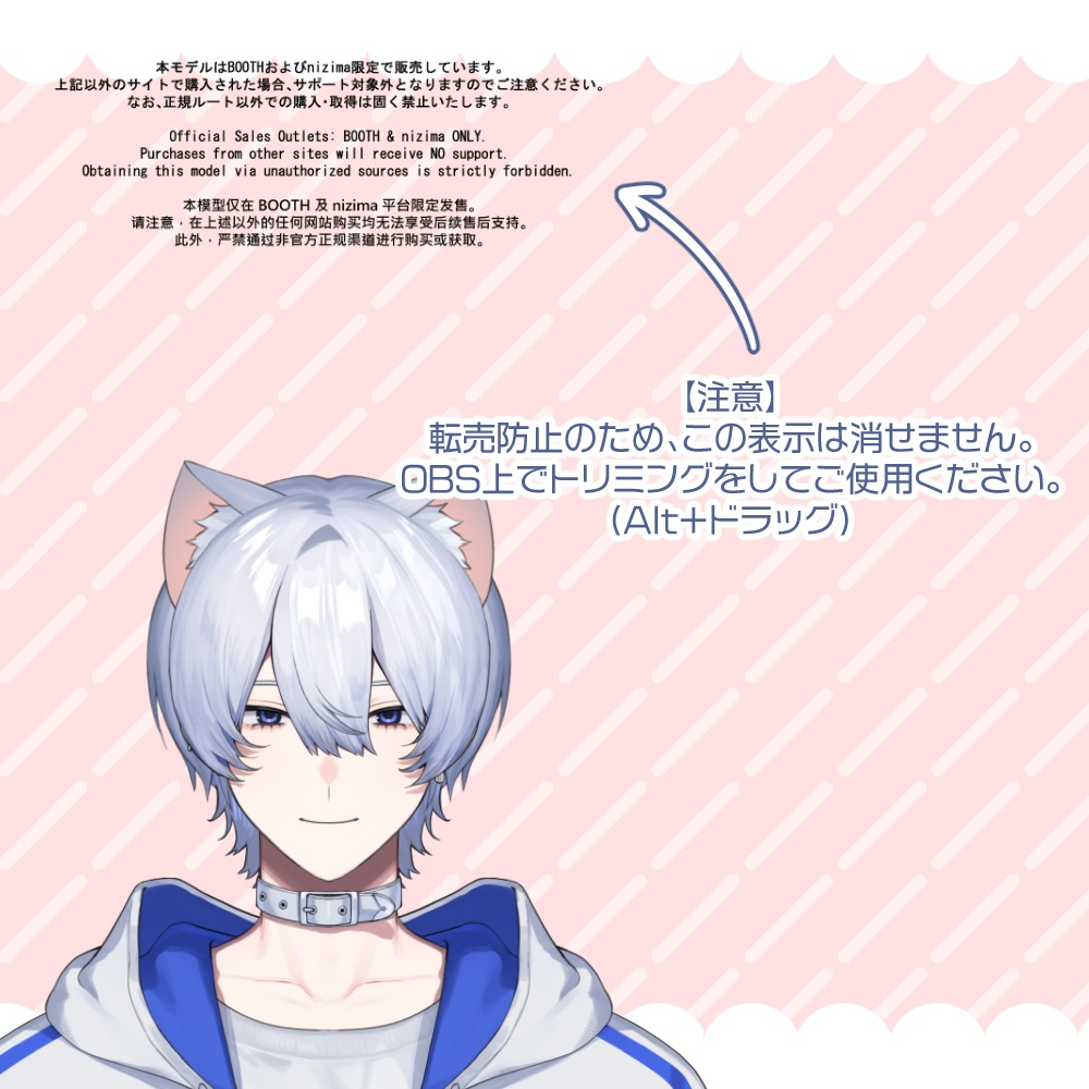 【汎用モデル】ネコミミゲーマーの男の子【Vtube Studio】