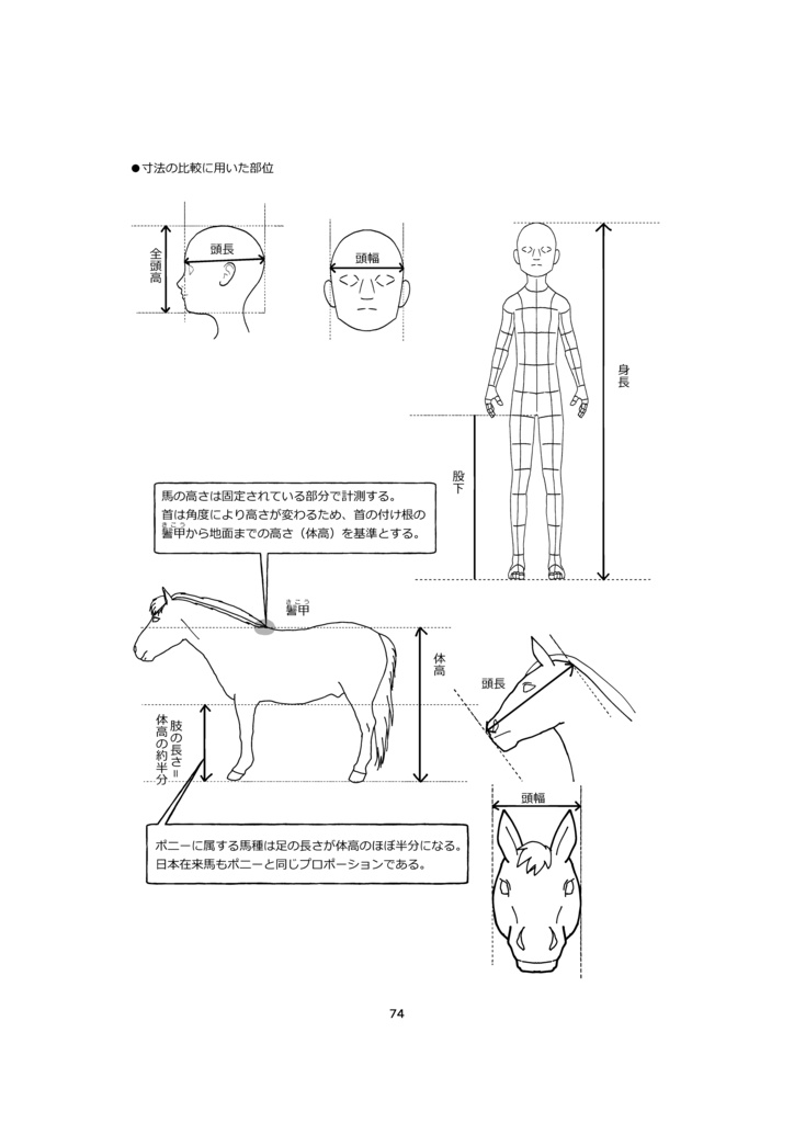 刀剣乱舞の馬の本