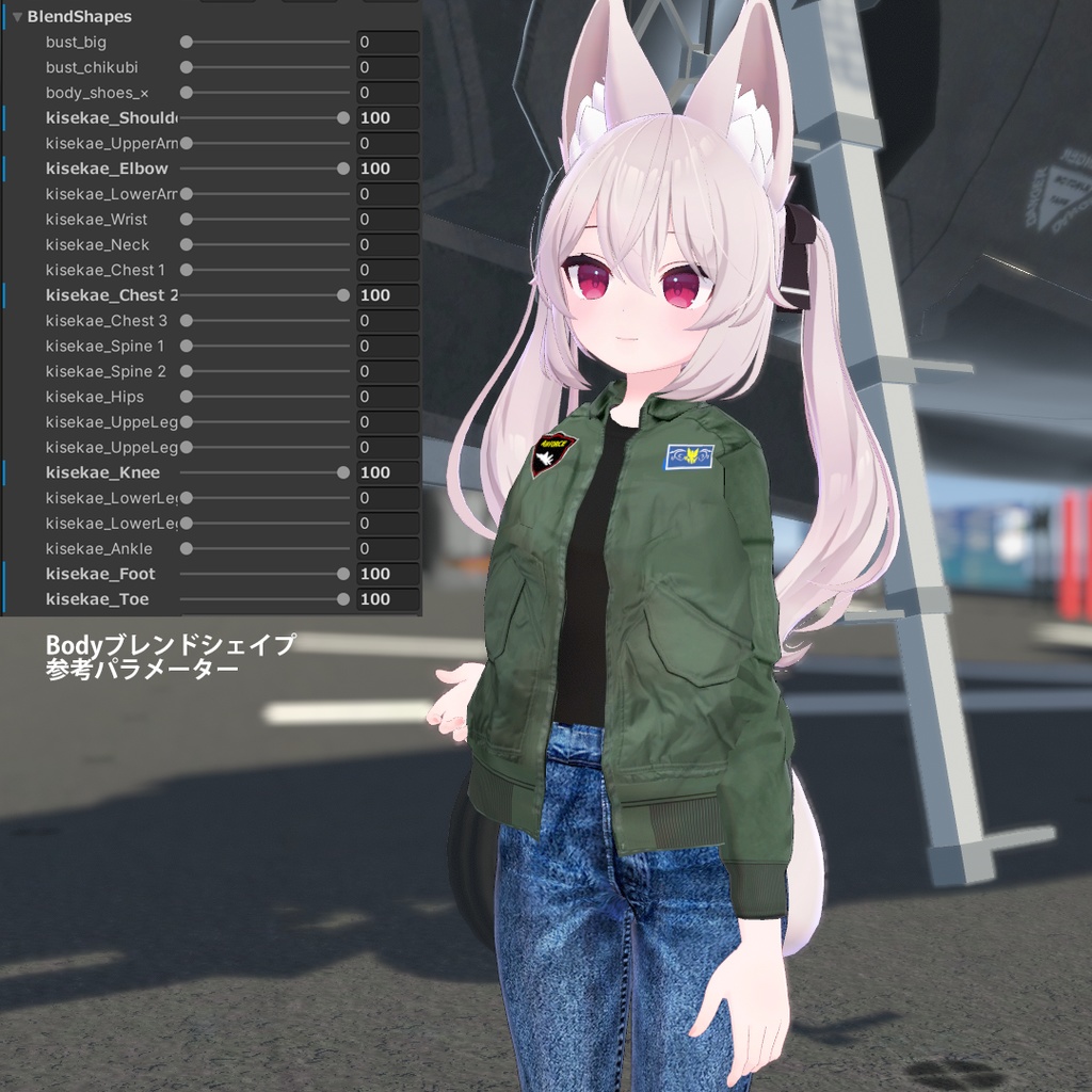 24 avatars] Flight jacket set for current use