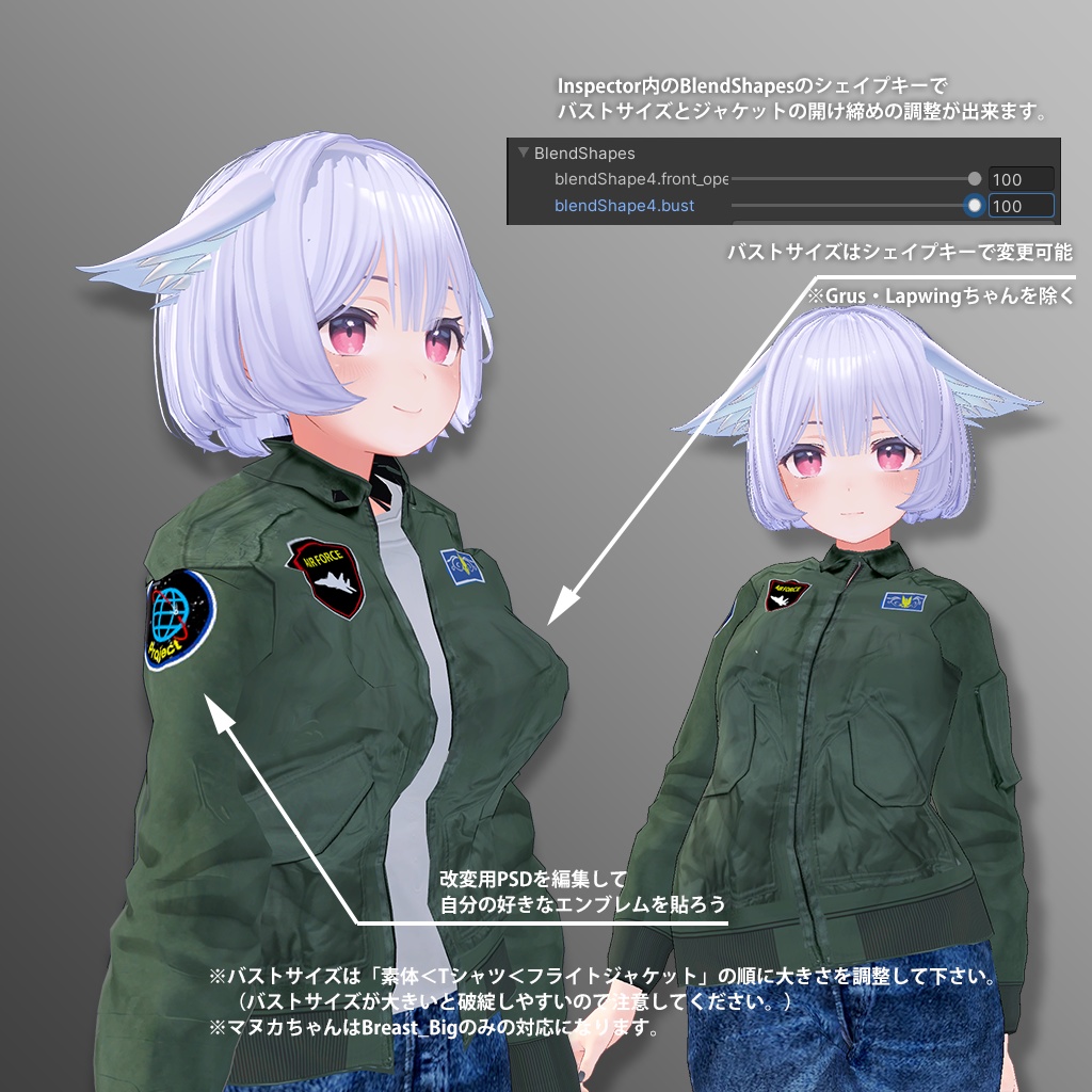 24 avatars] Flight jacket set for current use