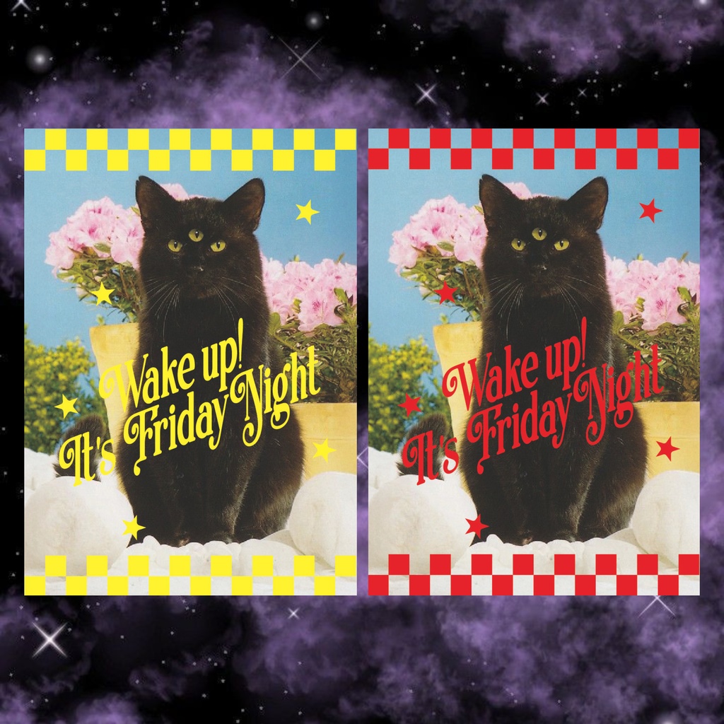 🐈‍⬛𝑭𝒓𝒊𝒅𝒂𝒚 𝒄𝒂𝒕 𝒔𝒕𝒊𝒄𝒌𝒆𝒓🐈‍⬛