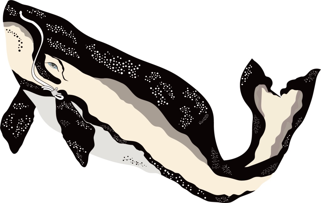 ダウンロード販売素材・歌川国芳の鯨(くじら)ZIP (AI, PNG形式)