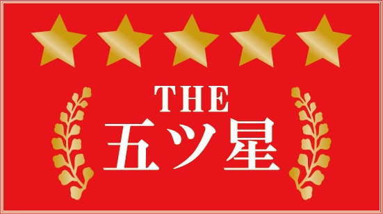 ダウンロード販売素材・販促イラスト素材・星ラベルZIP (AI, PNG形式)