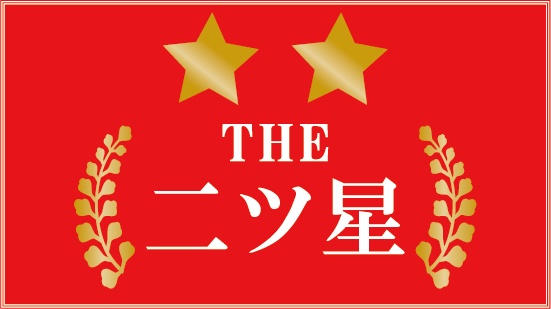 ダウンロード販売素材・販促イラスト素材・星ラベルZIP (AI, PNG形式)