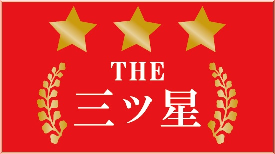 ダウンロード販売素材・販促イラスト素材・星ラベルZIP (AI, PNG形式)