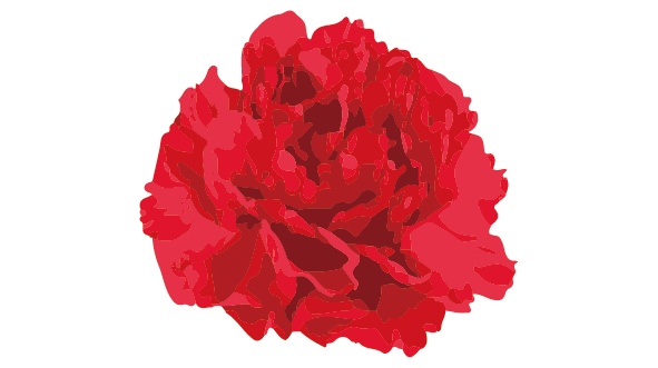 ダウンロード販売素材・販促イラスト素材・カーネーションZIP (AI, PNG形式)