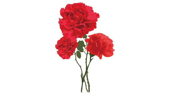 ダウンロード販売素材・販促イラスト素材・カーネーションZIP (AI, PNG形式)