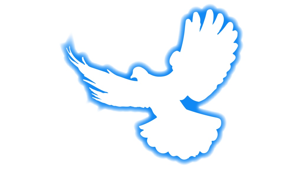 ダウンロード販売素材・販促イラスト素材・羽ばたく鳥(光彩)ZIP (AI, PNG形式)