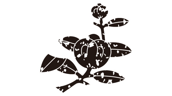 ダウンロード販売素材・家紋はんこ・茶ノ実(ちゃのみ)ZIP (AI, PNG形式)