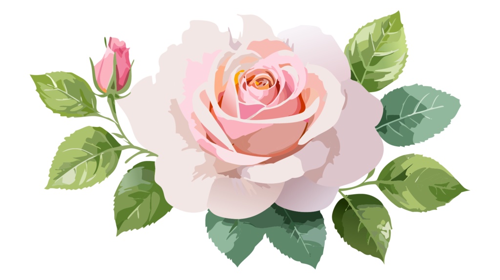 ダウンロード販売素材・販促イラスト素材・バラ(薔薇・ばら・花)ZIP (AI, PNG形式)