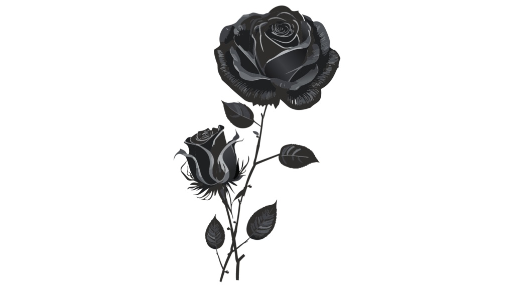 ダウンロード販売素材・販促イラスト素材・バラ(薔薇・ばら・花)ZIP (AI, PNG形式)