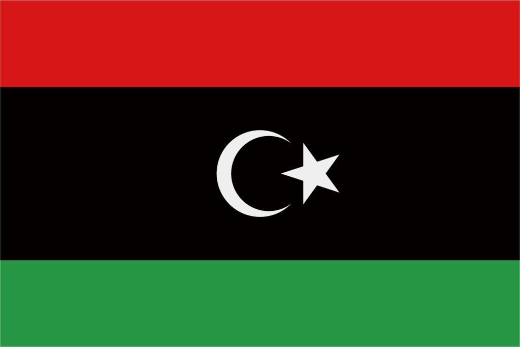 ダウンロード販売素材・販促イラスト素材・世界の国旗(アフリカ54ヵ国の国旗)ZIP (AI, PNG形式)