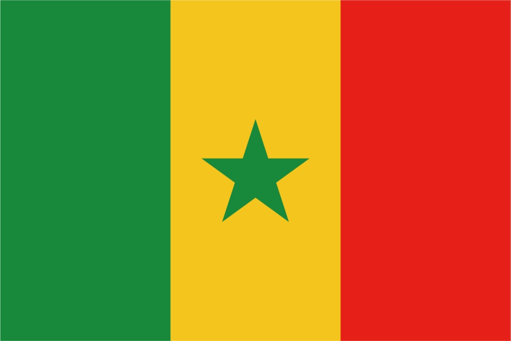 ダウンロード販売素材・販促イラスト素材・世界の国旗(アフリカ54ヵ国の国旗)ZIP (AI, PNG形式)