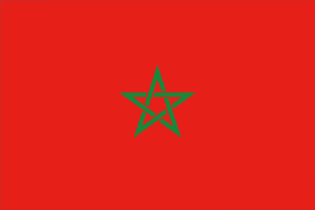 ダウンロード販売素材・販促イラスト素材・世界の国旗(アフリカ54ヵ国の国旗)ZIP (AI, PNG形式)