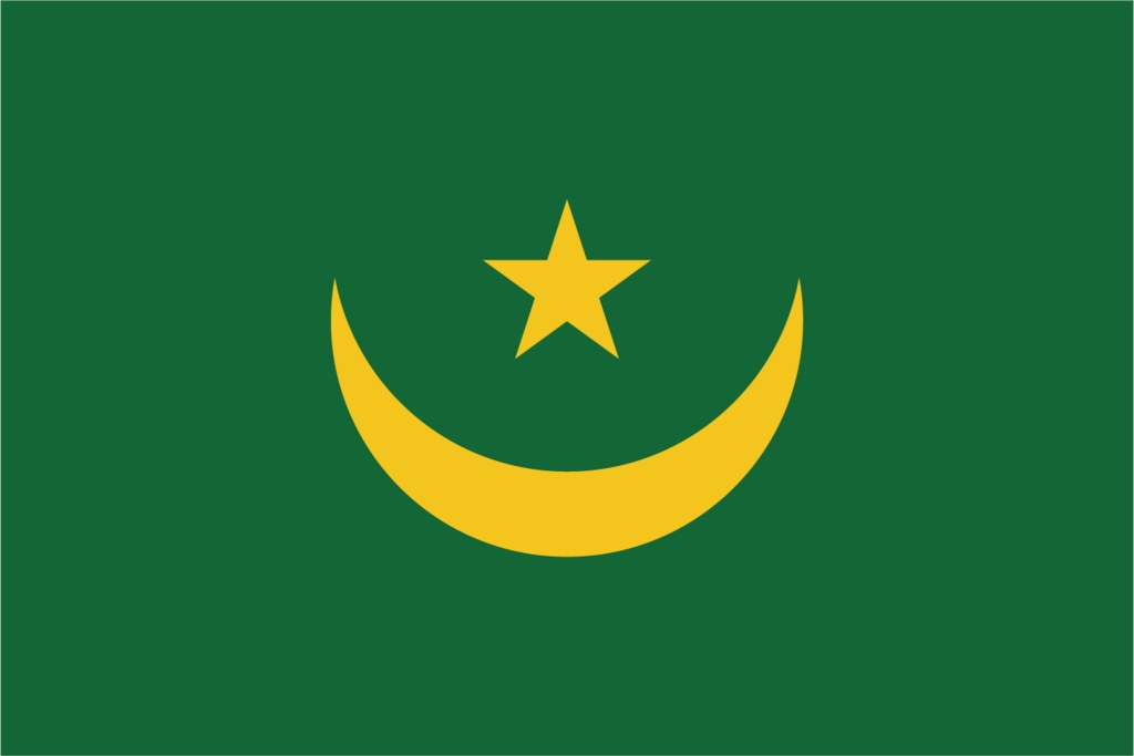 ダウンロード販売素材・販促イラスト素材・世界の国旗(アフリカ54ヵ国の国旗)ZIP (AI, PNG形式)