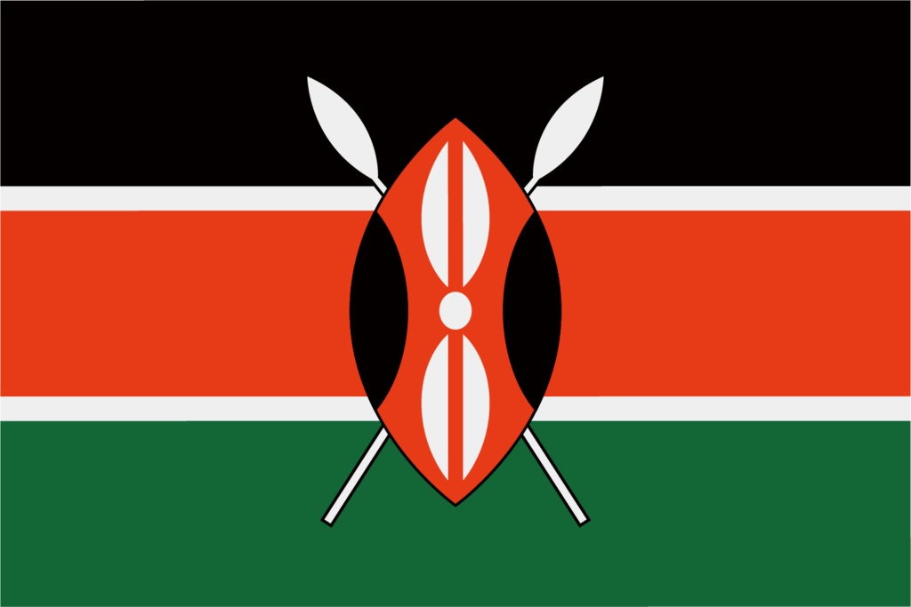 ダウンロード販売素材・販促イラスト素材・世界の国旗(アフリカ54ヵ国の国旗)ZIP (AI, PNG形式)