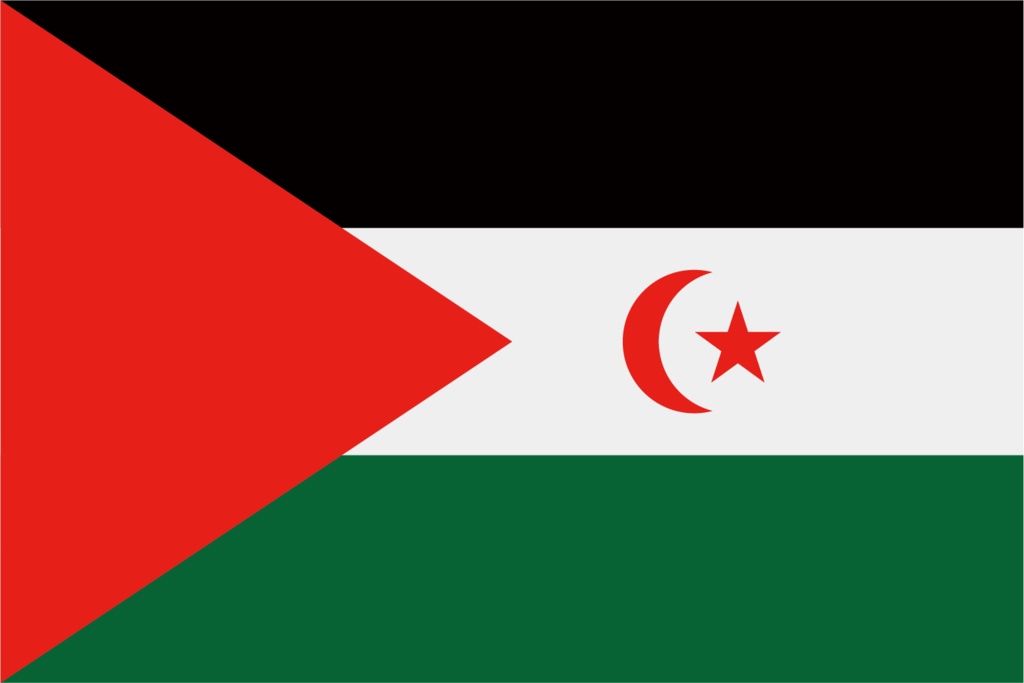 ダウンロード販売素材・販促イラスト素材・世界の国旗(アフリカ54ヵ国の国旗)ZIP (AI, PNG形式)